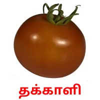 தக்காளி flashcards illustrate