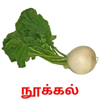 நூக்கல் flashcards illustrate