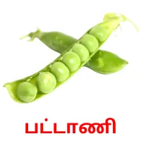 பட்டாணி flashcards illustrate