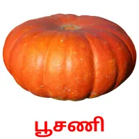 பூசணி picture flashcards