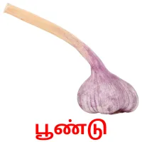 பூண்டு picture flashcards