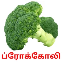 ப்ரோக்கோலி flashcards illustrate