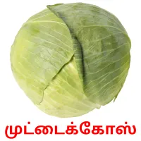 முட்டைக்கோஸ் picture flashcards