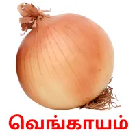 வெங்காயம் picture flashcards