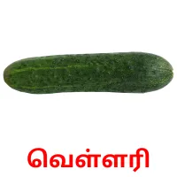 வெள்ளரி flashcards illustrate