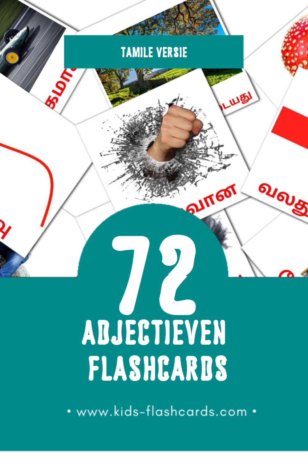 Visuele பெயரடை Flashcards voor Kleuters (72 kaarten in het Tamil)