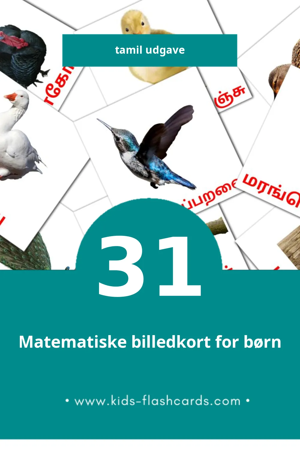 Visuelle billedkort for børn om பறவைகள் til småbørn (31 kort på Tamil)