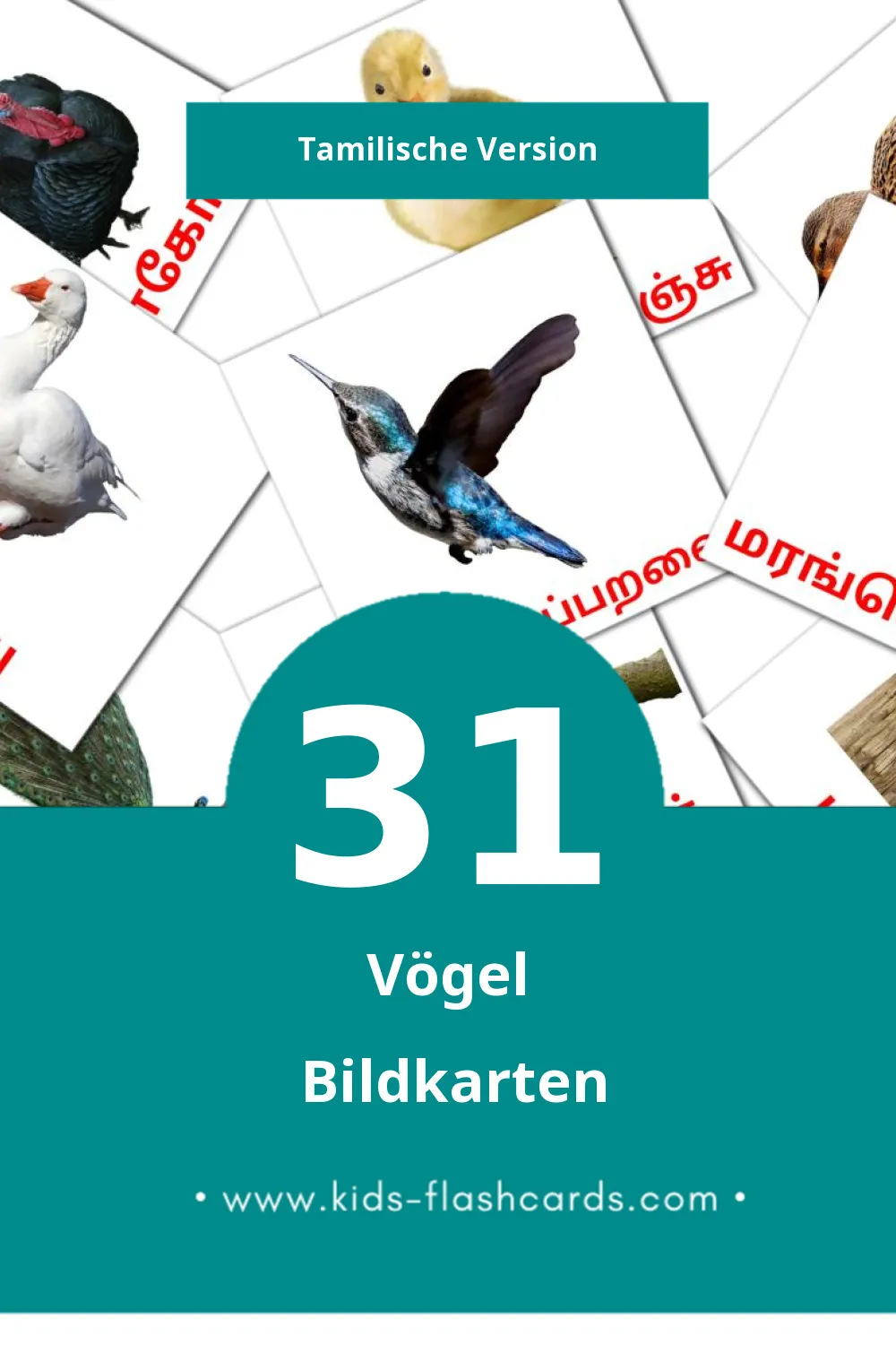 Visual பறவைகள் Flashcards für Kleinkinder (31 Karten in Tamilisch)