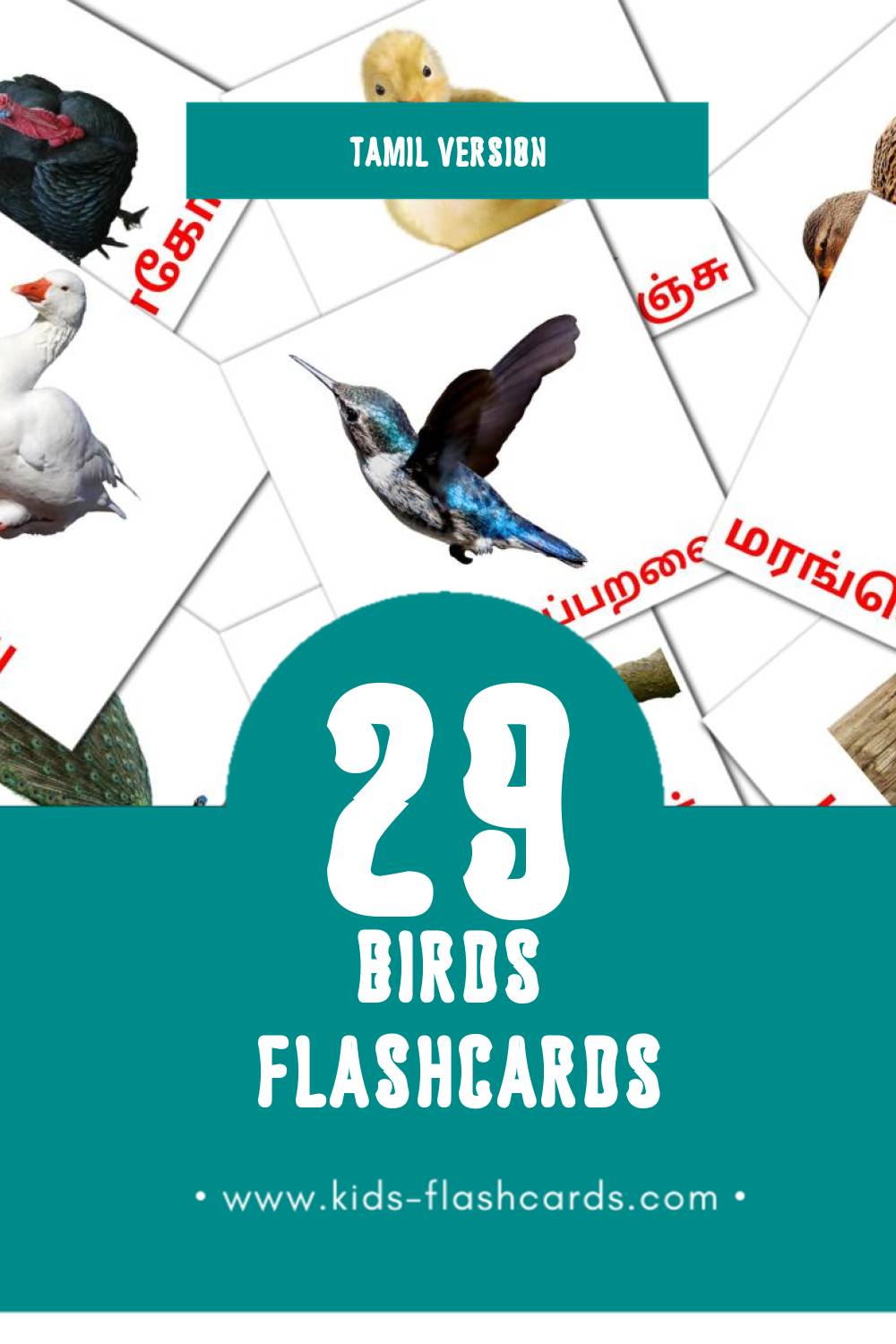 Visual பறவைகள் Flashcards for Toddlers (29 cards in Tamil)