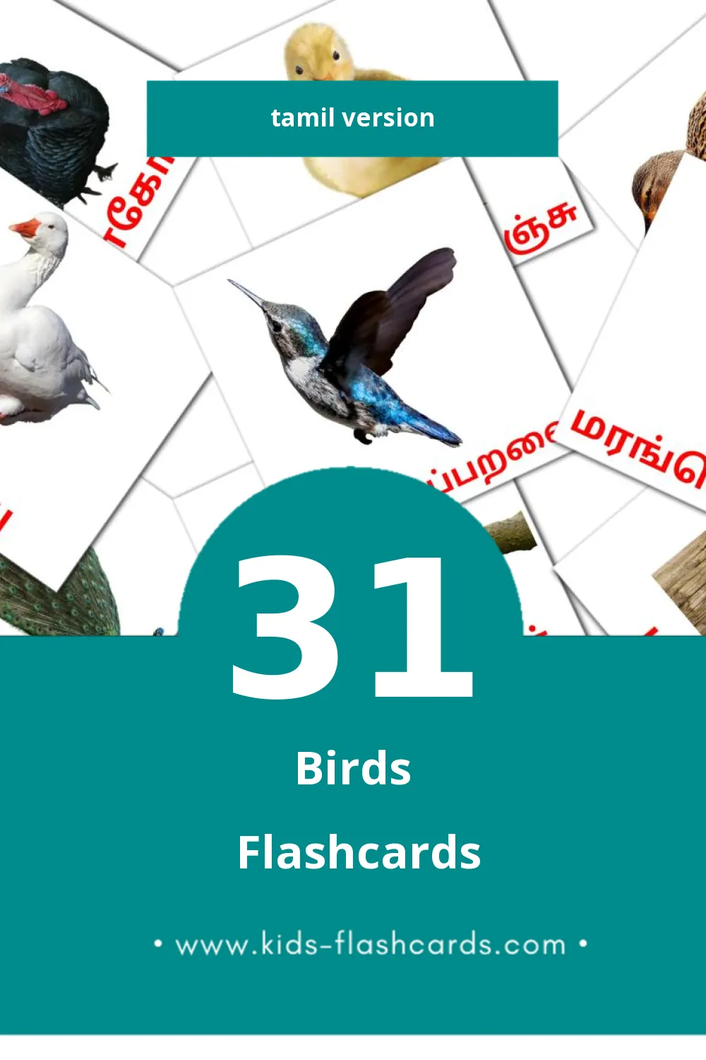 Visual பறவைகள் Flashcards for Toddlers (31 cards in Tamil)