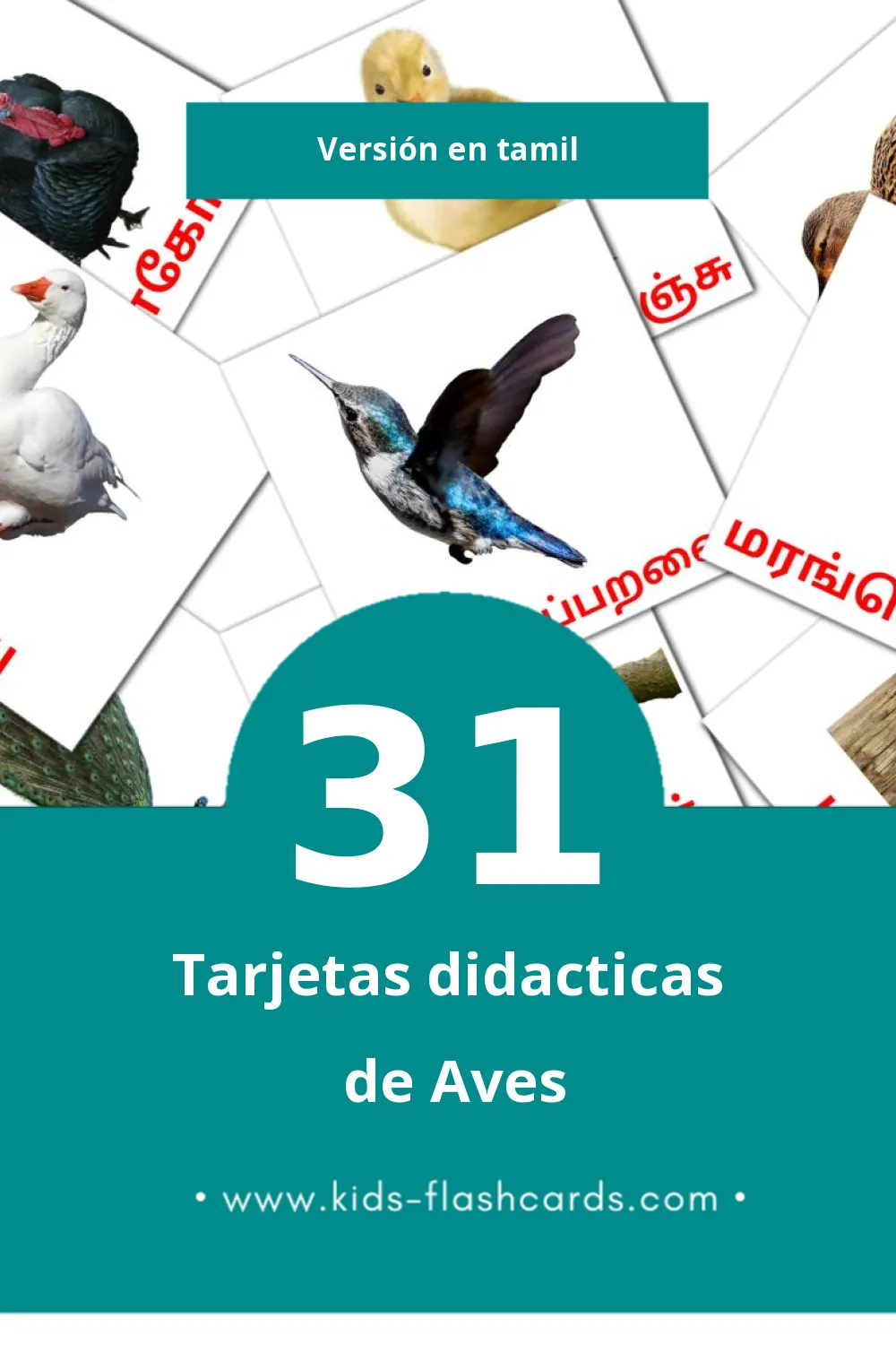 Tarjetas visuales de பறவைகள் para niños pequeños (31 tarjetas en Tamil)