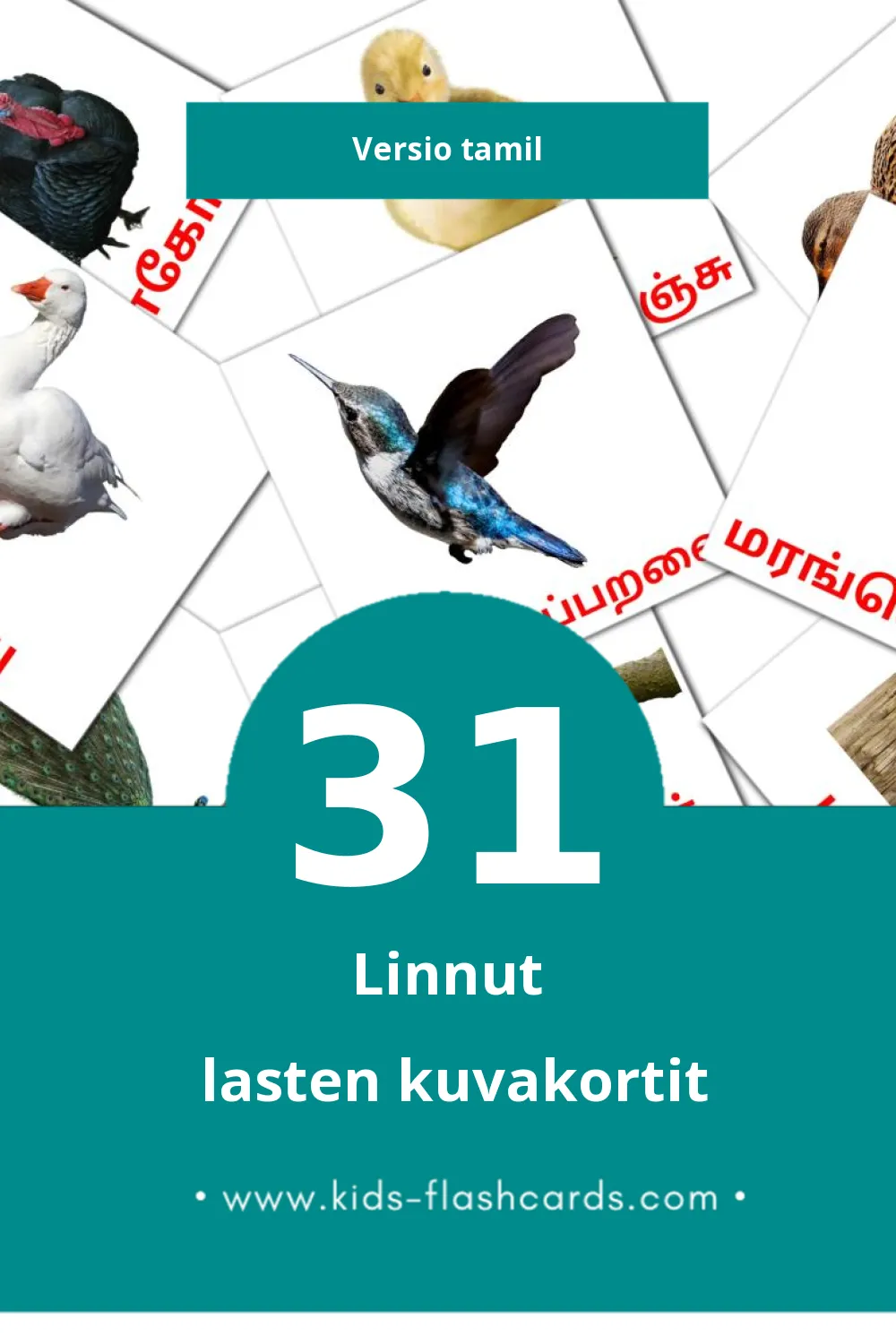 பறவைகள் lasten kuvakortit pikkulapsille (31 korttia Tamilksi)
