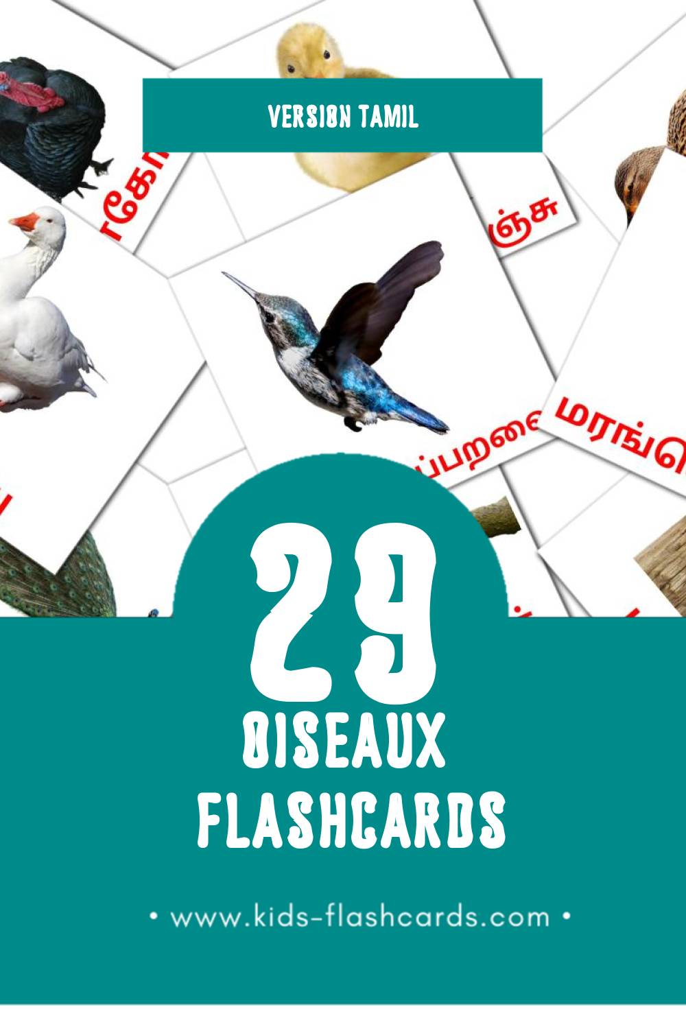 Flashcards Visual பறவைகள் pour les tout-petits (29 cartes en Tamil)