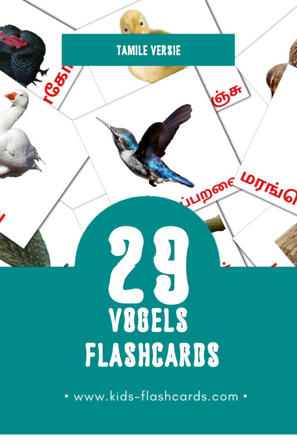 Visuele பறவைகள் Flashcards voor Kleuters (29 kaarten in het Tamil)