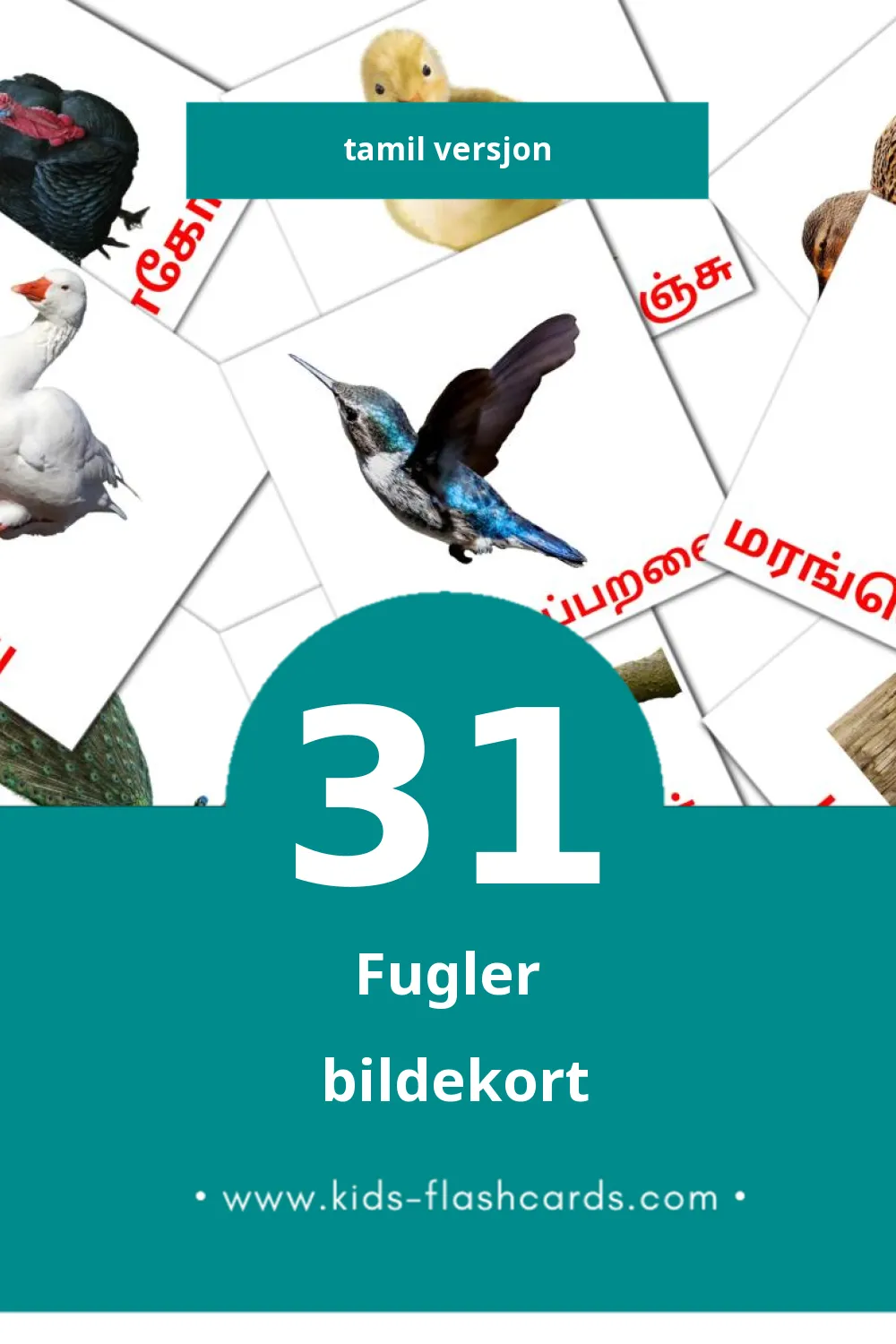 Visuelle பறவைகள் bildekort for småbarn (31 kort på Tamil)