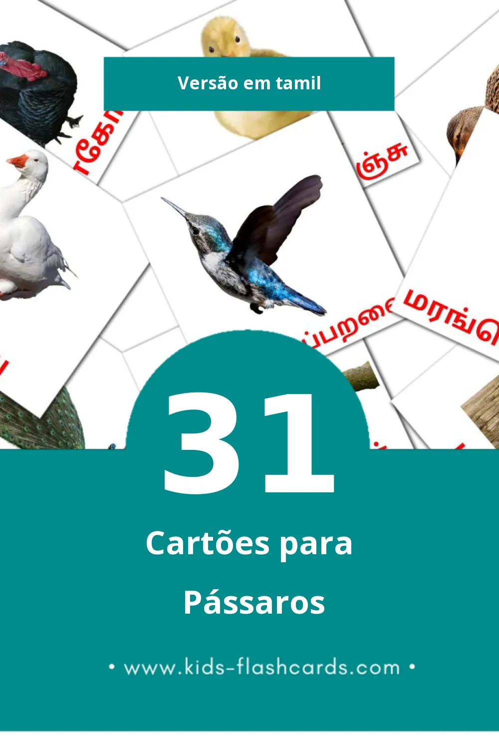 Flashcards de பறவைகள் Visuais para Toddlers (31 cartões em Tamil)