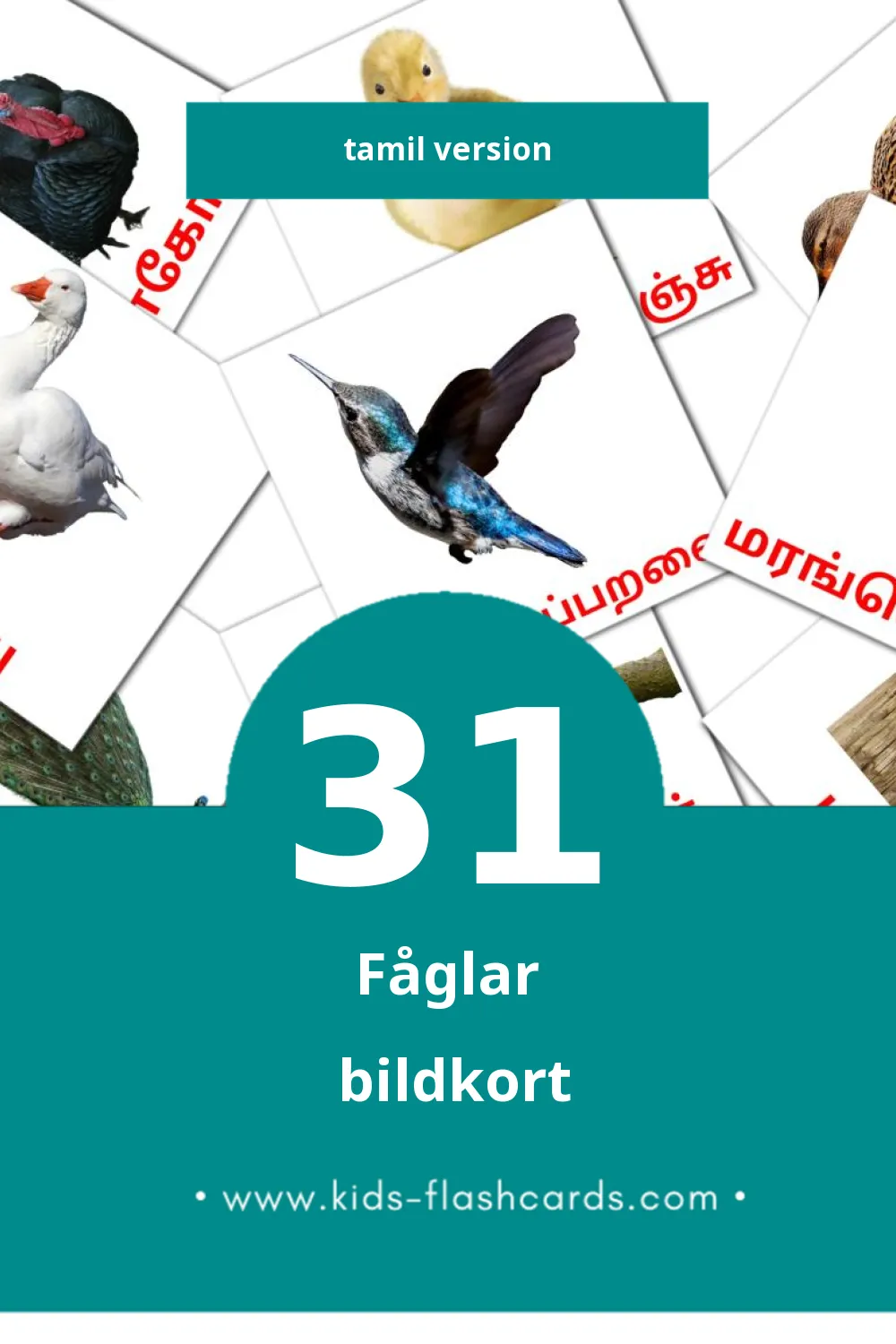 Visuella பறவைகள் för småbarn (31 bildkort för barn på Tamil)