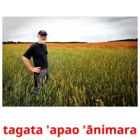 tagata 'apao 'ānimara kuvakortit