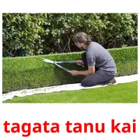 tagata tanu kai kuvakortit
