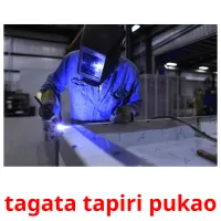 tagata tapiri pukao kuvakortit