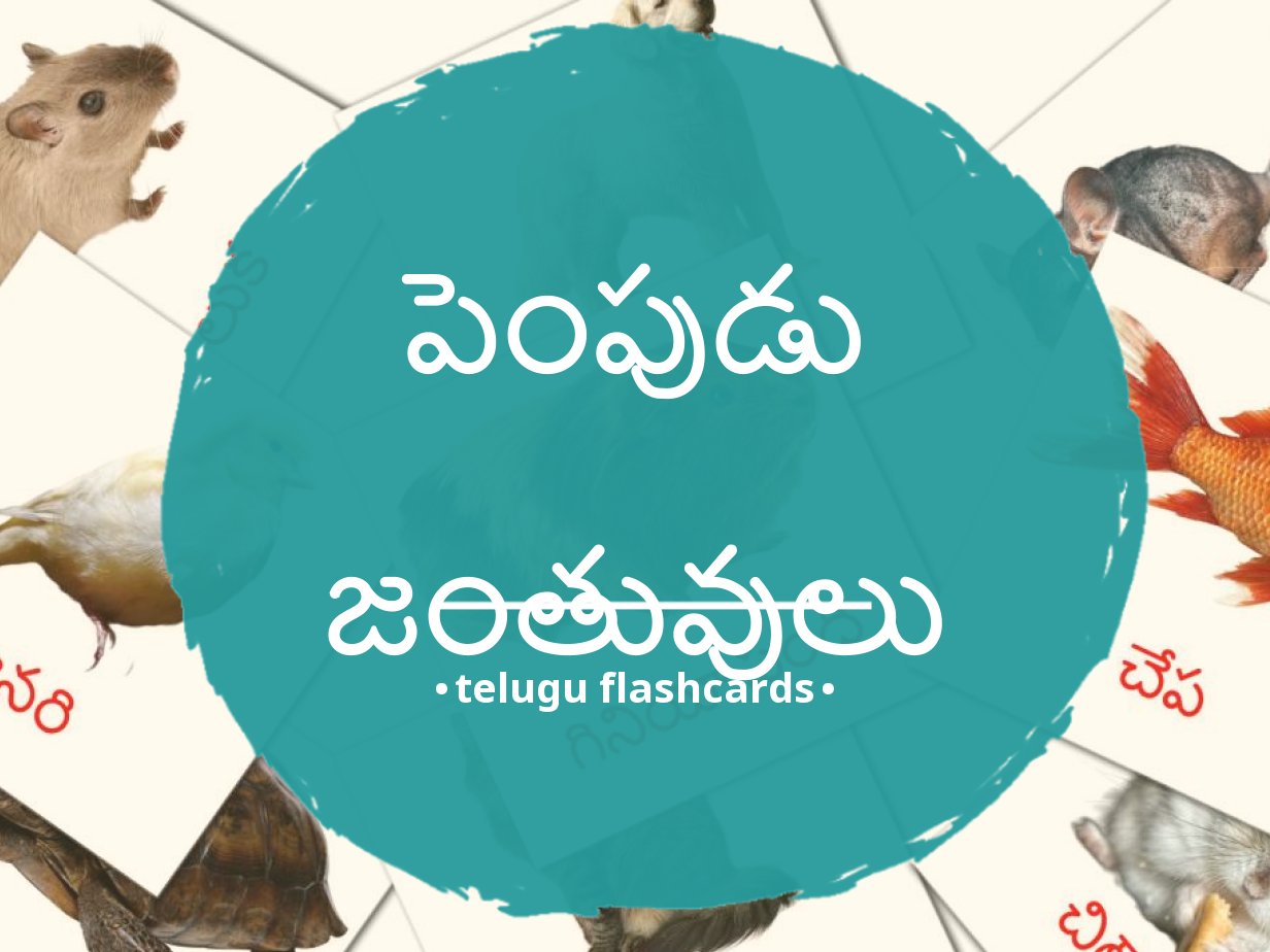 10 FREE Domestic animals Flashcards in 4 PDF formats | Telugu Pictures