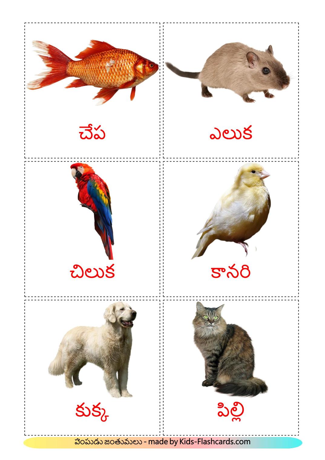 Domestic animals - 10 Free Printable telugu Flashcards 