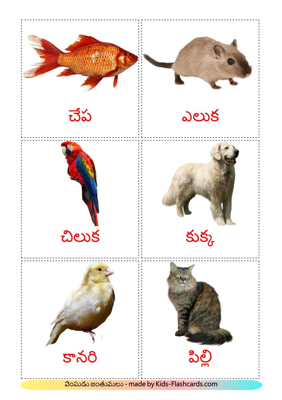 Les animaux Domestiques - 11 Flashcards telugu imprimables gratuitement