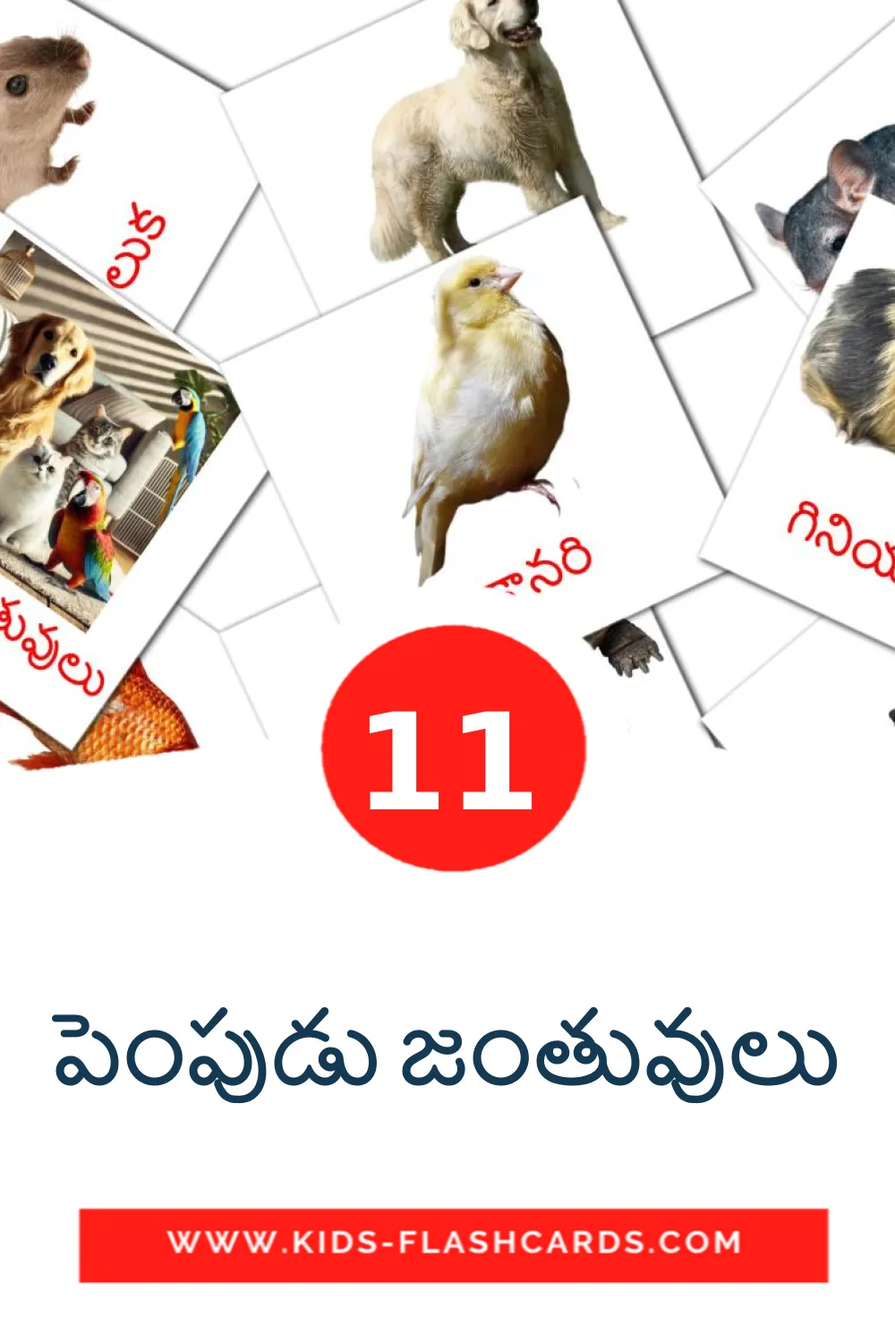 11 cartes illustrées de పెంపుడు జంతువులు pour la maternelle en telugu