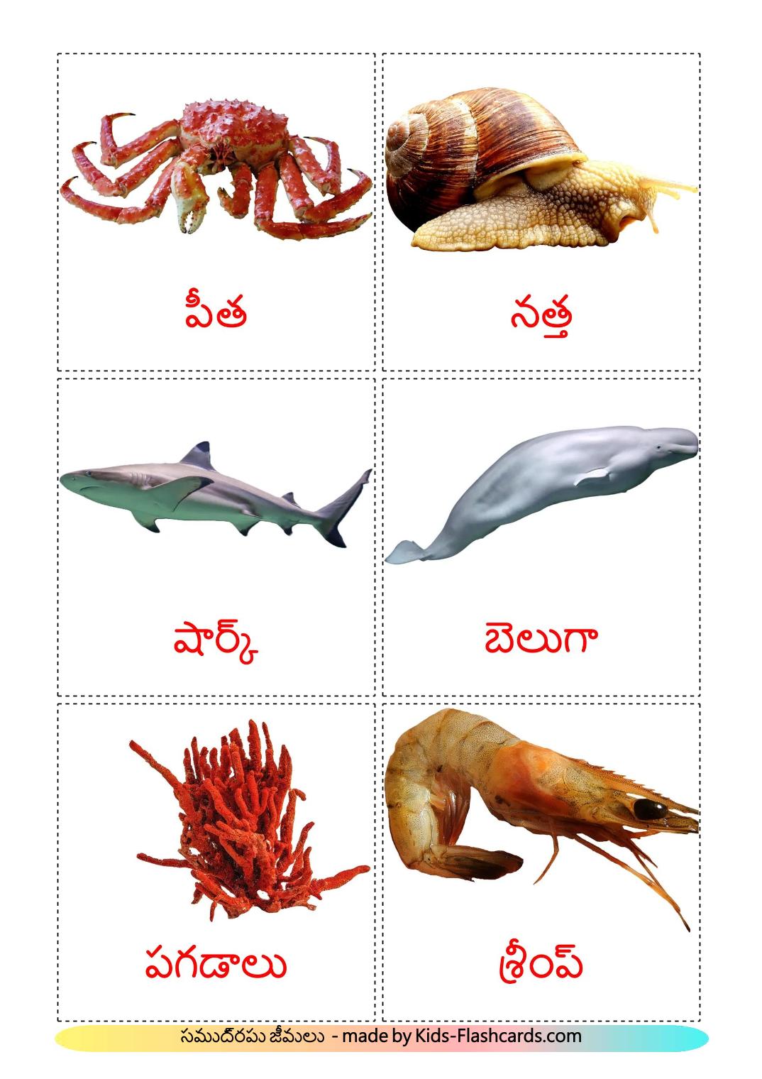 Havdyr - 30 Free Printable telugu Flashcards