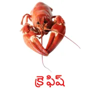 క్రె ఫిష్ picture flashcards