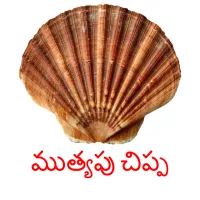 ముత్యపు చిప్ప picture flashcards