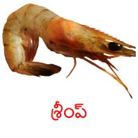 శ్రీంప్ picture flashcards