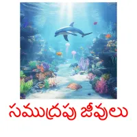 సముద్రపు జీవులు picture flashcards