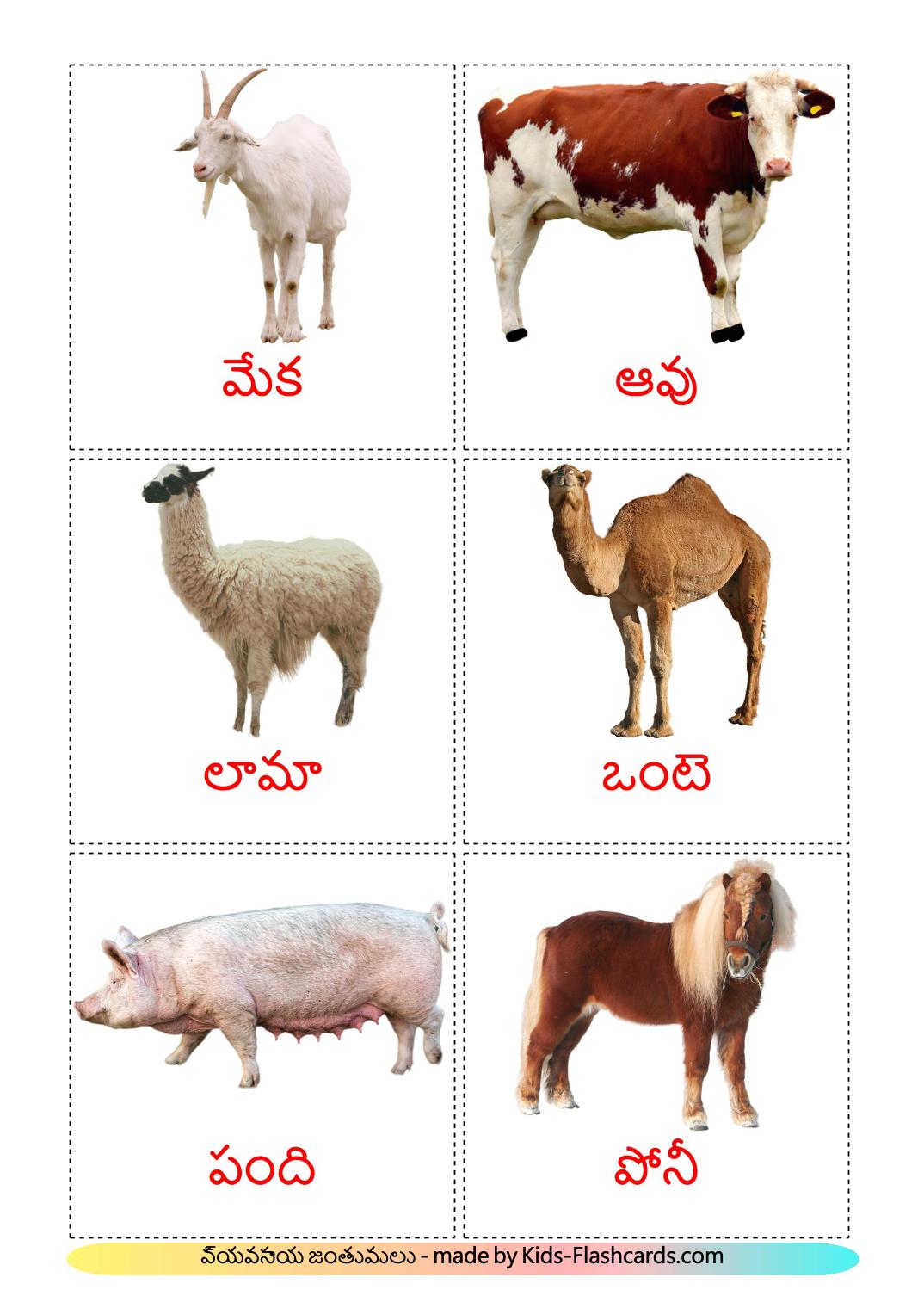 Nutztiere - 15 kostenlose, druckbare Telugu Flashcards 