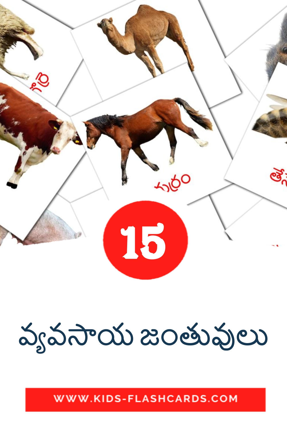 15 వ్యవసాయ జంతువులు Bildkarten für den Kindergarten auf Telugu