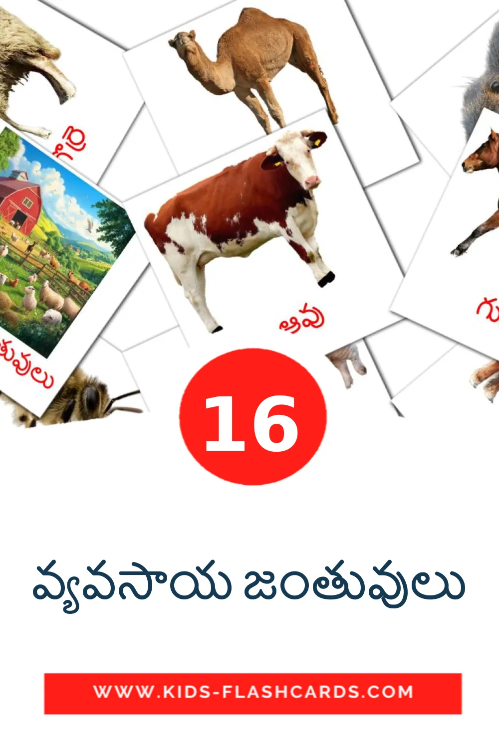 16 cartes illustrées de వ్యవసాయ జంతువులు pour la maternelle en telugu