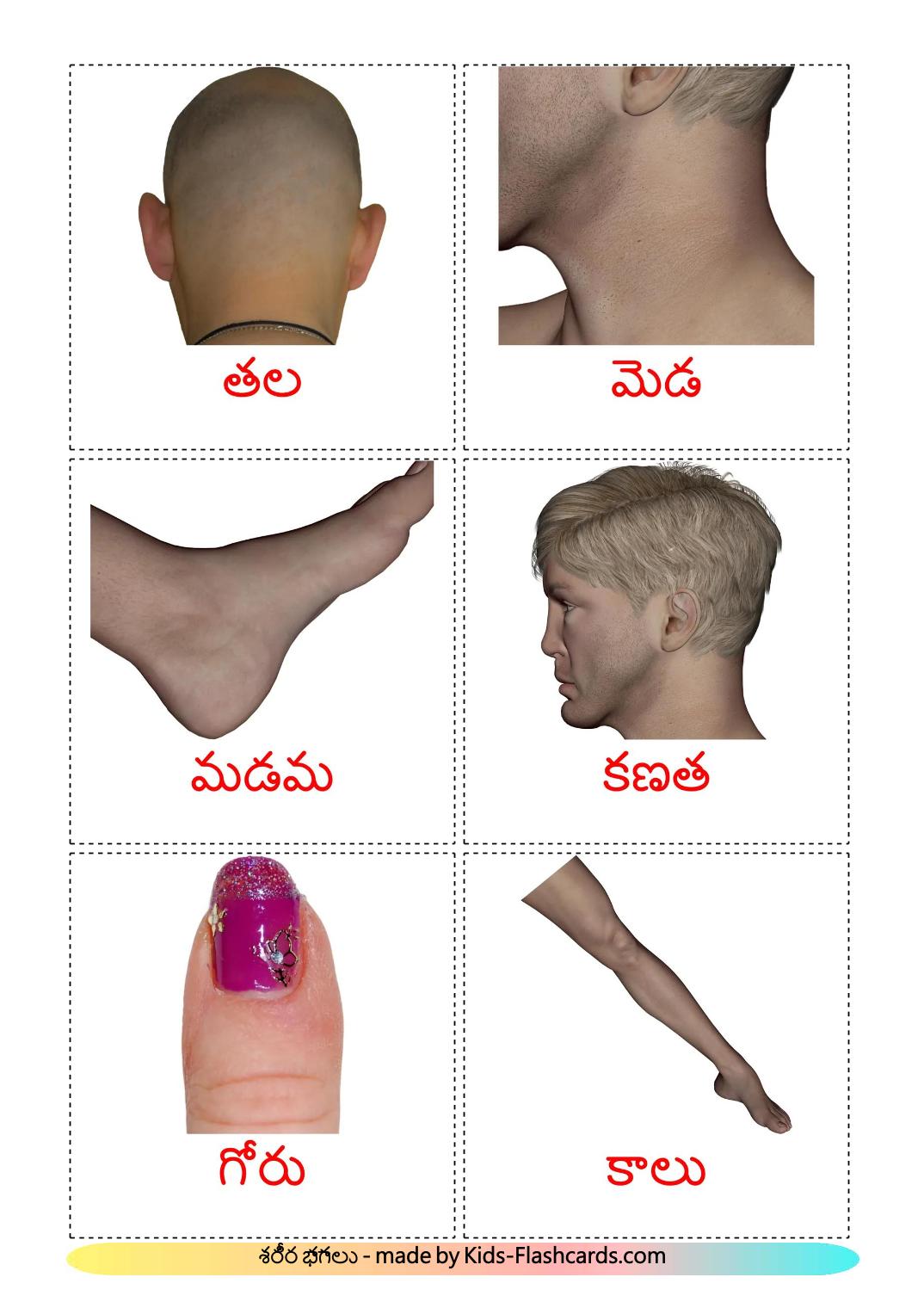 Body Parts - 26 Free Printable telugu Flashcards 