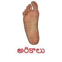 అరికాలు picture flashcards