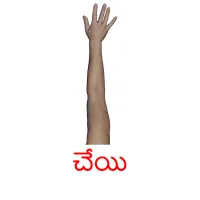 చేయి picture flashcards