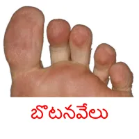 బొటనవేలు picture flashcards