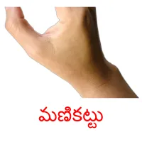 మణికట్టు picture flashcards