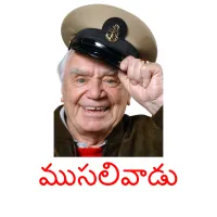 ముసలివాడు picture flashcards