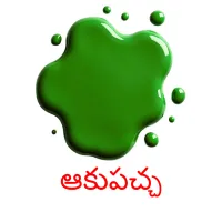 ఆకుపచ్చ picture flashcards