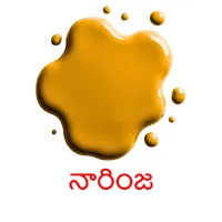 నారింజ picture flashcards