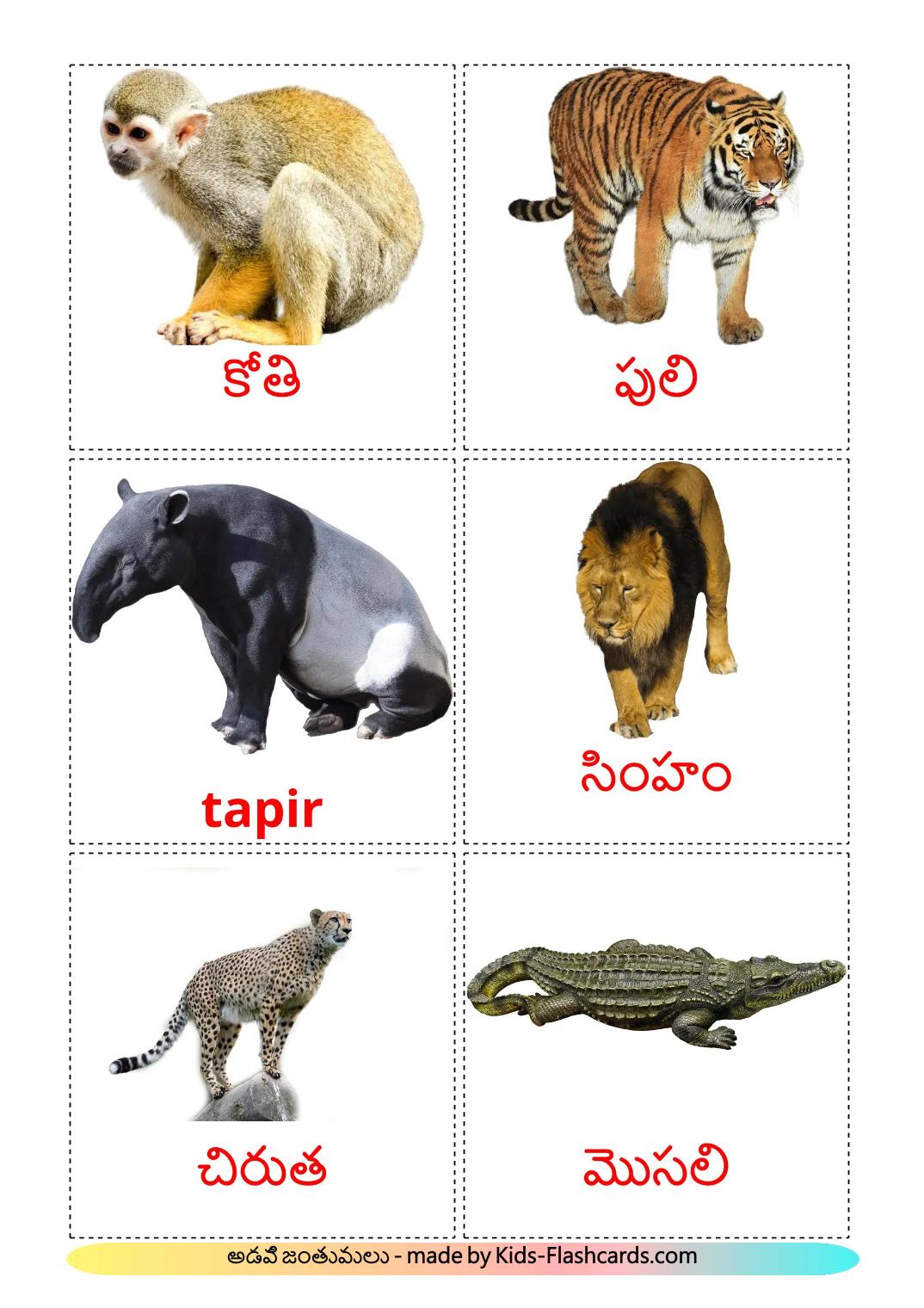 Animais da Selva - 22 Flashcards telugues gratuitos para impressão