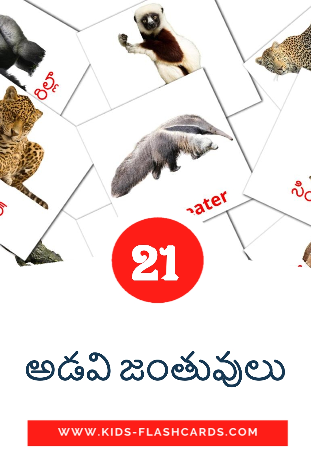 21 అడవి జంతువులు Picture Cards for Kindergarden in telugu