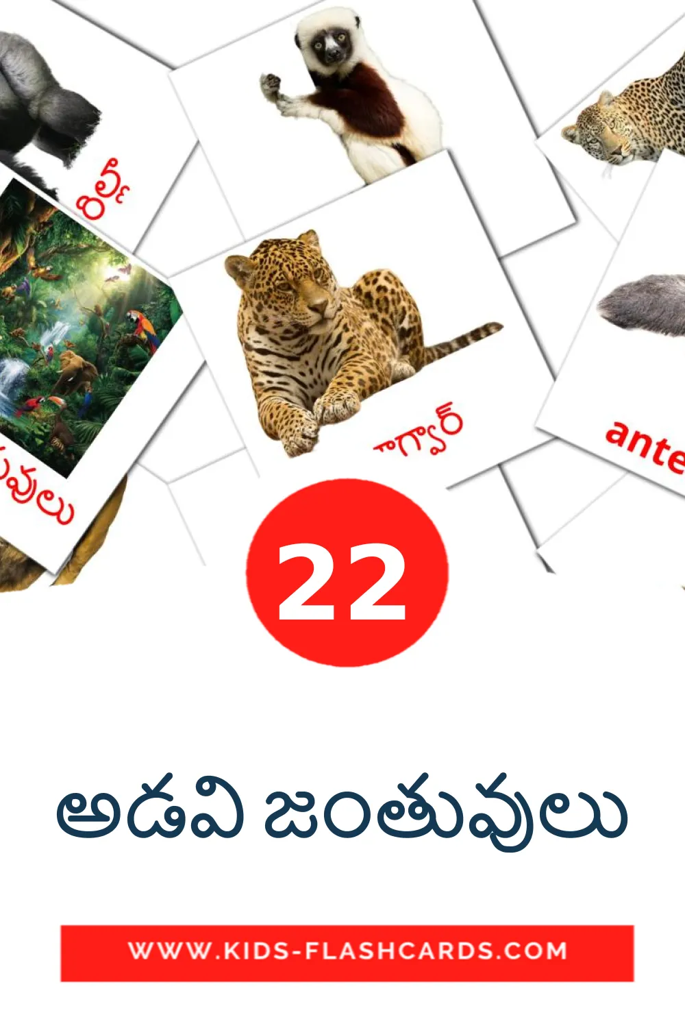 22 Cartões com Imagens de అడవి జంతువులు para Jardim de Infância em telugu