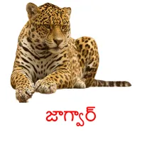 జాగ్వార్ cartões com imagens