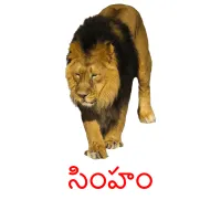 సింహం cartões com imagens