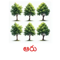 ఆరు picture flashcards